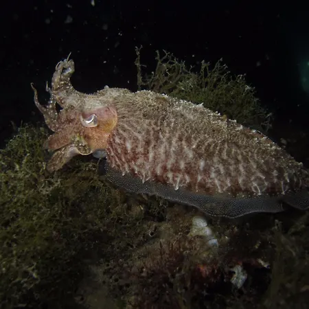 Διαμέρισμα H49 Μπάρι